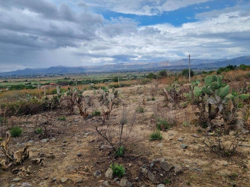 Propiedad destacada de Alfa Bolivia